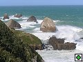 thn_The Catlins Coast 018.jpg